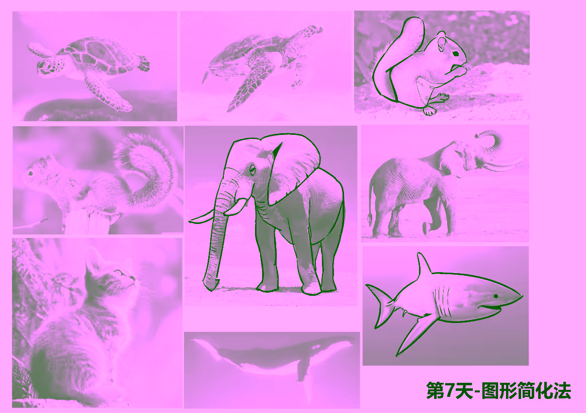 动物图形简化