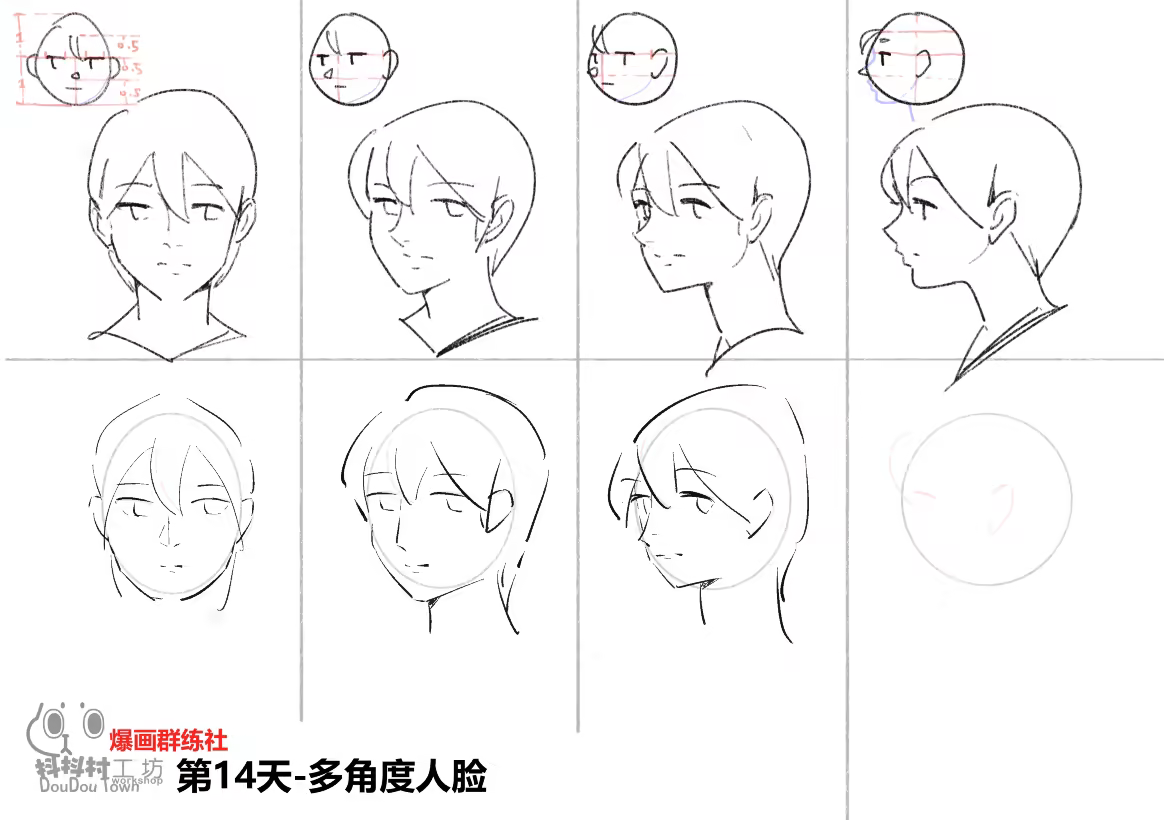 多角度面部线稿
